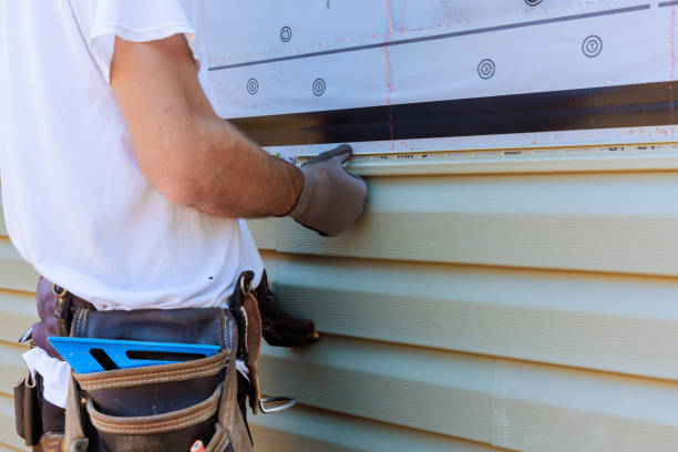 Best Fascia and Soffit Installation  in South Hill, VA